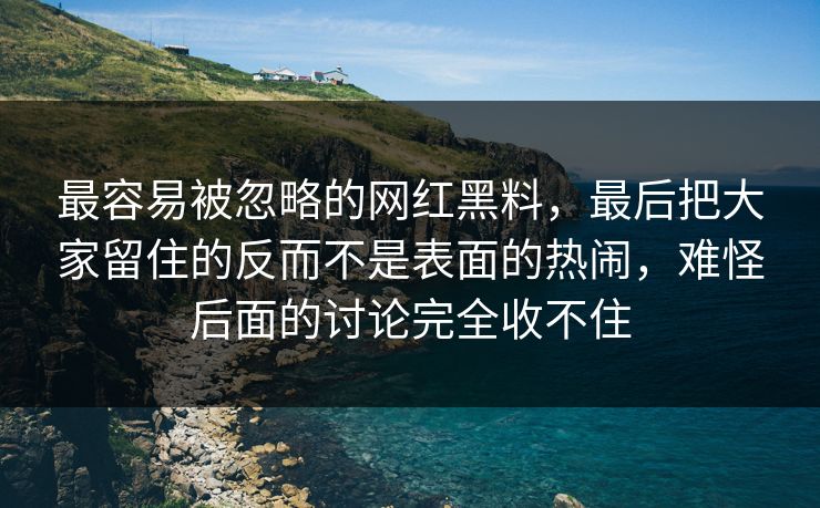 最容易被忽略的网红黑料，最后把大家留住的反而不是表面的热闹，难怪后面的讨论完全收不住