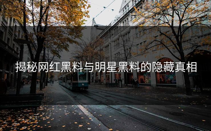 揭秘网红黑料与明星黑料的隐藏真相