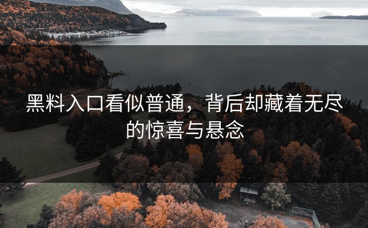 黑料入口看似普通,背后却藏着无尽的惊喜与悬念 黑料入口看似普通,背后却藏着无尽的惊喜与悬念